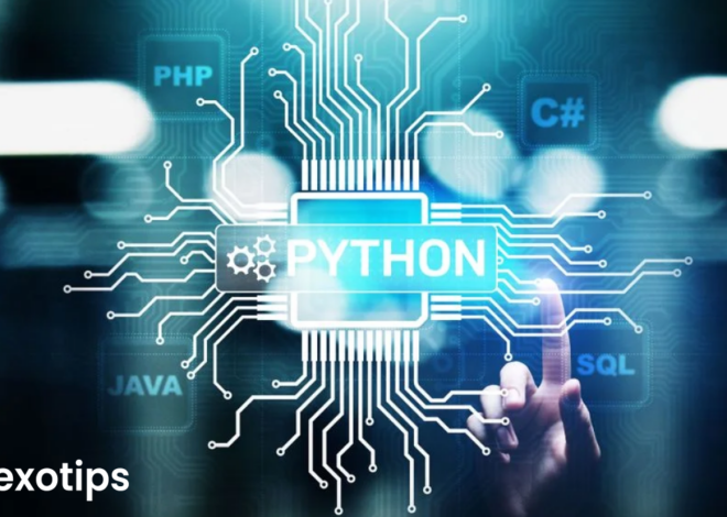 Mastering Python Programming Language for Data Science Applications in 2024 : A Comprehensive Guide