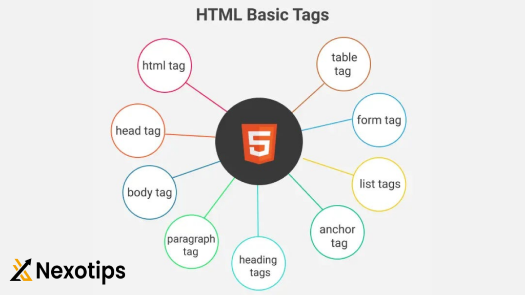 HTML Tag