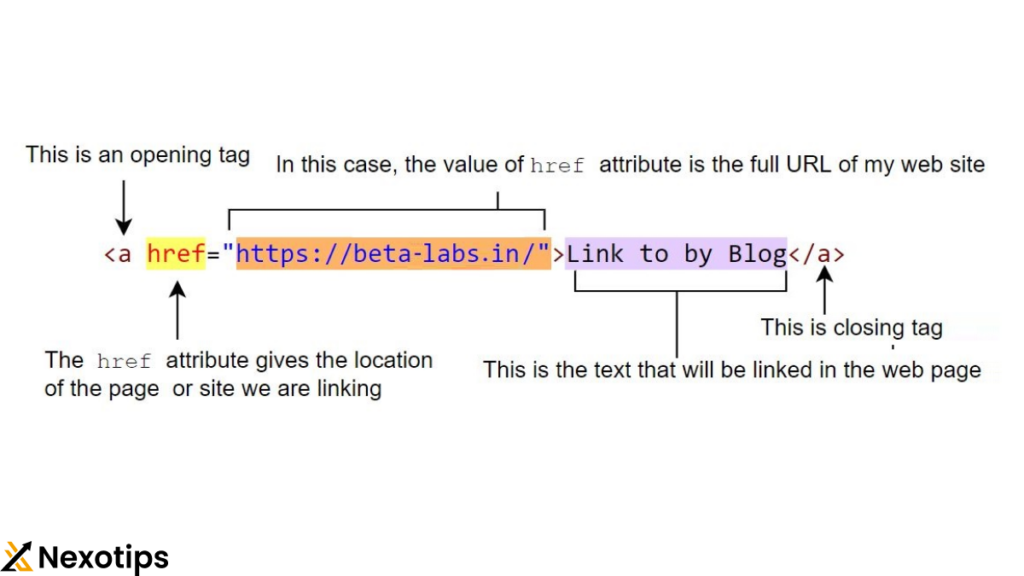 HTML Links