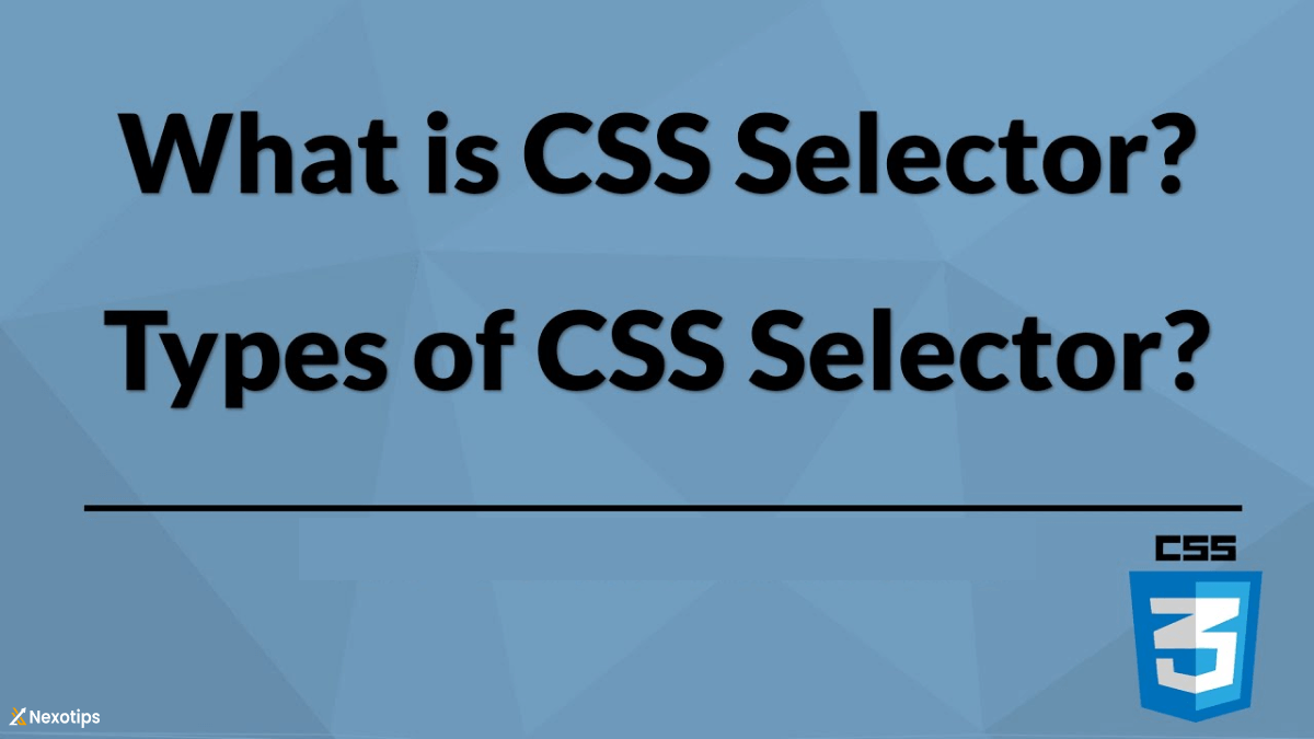 Master CSS Selectors : Unlock the Full Potential of Your Web Designs!